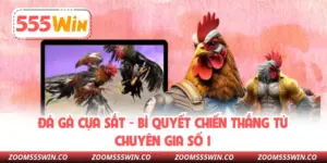 Đá Gà Cựa Sắt - Bí Quyết Chiến Thắng Từ Chuyên Gia Số 1