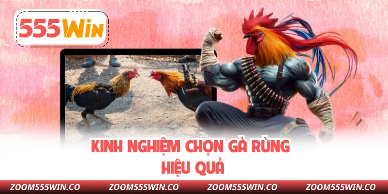 Kinh Nghiệm Chọn Gà Rừng Hiệu Quả